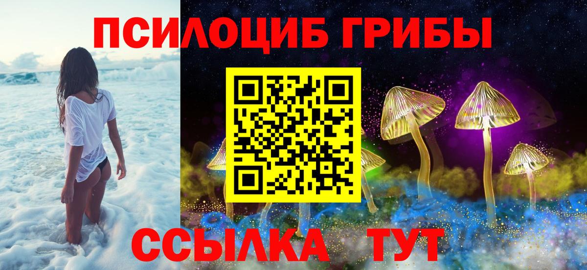 Карачаевск  Галлюциногенные грибы Cubensis  Псилоцибиновые грибы GOLDEN TEACHER  Вход с VPN 