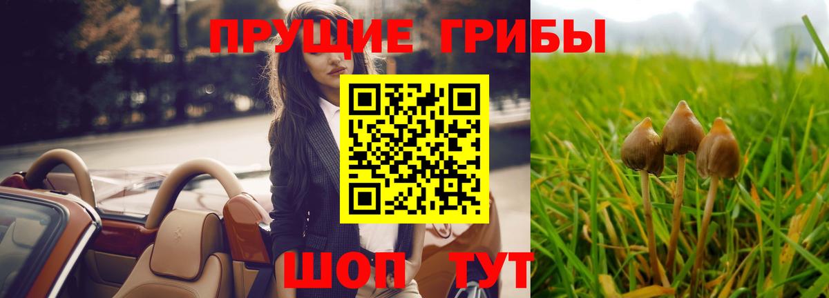 Галлюциногенные грибы MAGIC MUSHROOMS Карачаевск